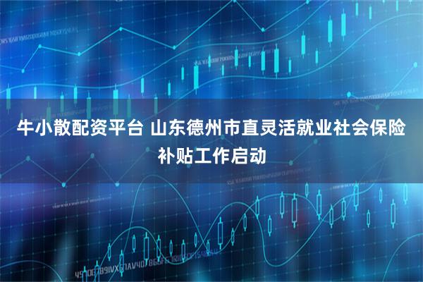 牛小散配资平台 山东德州市直灵活就业社会保险补贴工作启动