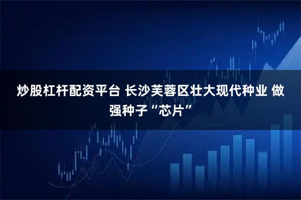 炒股杠杆配资平台 长沙芙蓉区壮大现代种业 做强种子“芯片”