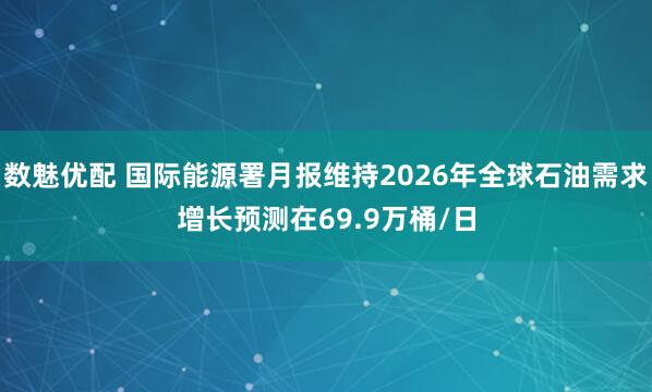 数魅优配 国际能源署月报维持2026年全球石油需求增长预测在69.9万桶/日