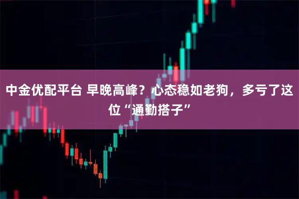 中金优配平台 早晚高峰？心态稳如老狗，多亏了这位“通勤搭子”