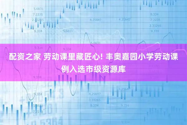 配资之家 劳动课里藏匠心! 丰奥嘉园小学劳动课例入选市级资源库