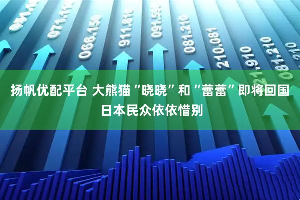 扬帆优配平台 大熊猫“晓晓”和“蕾蕾”即将回国 日本民众依依惜别