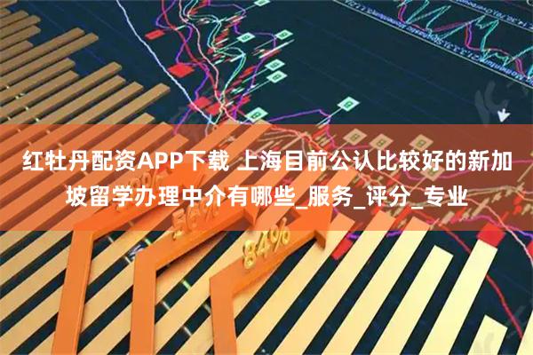 红牡丹配资APP下载 上海目前公认比较好的新加坡留学办理中介有哪些_服务_评分_专业