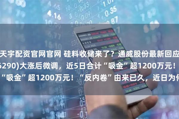 天宇配资官网官网 硅料收储来了？通威股份最新回应！光伏龙头ETF(516290)大涨后微调，近5日合计“吸金”超1200万元！“反内卷”由来已久，近日为何爆发？