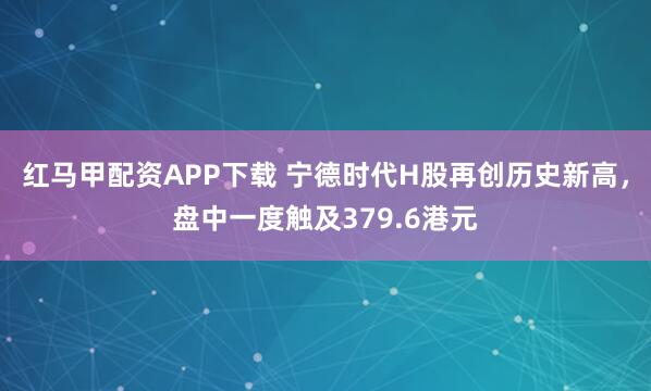 红马甲配资APP下载 宁德时代H股再创历史新高，盘中一度触及379.6港元