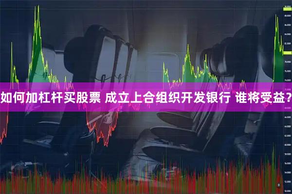 如何加杠杆买股票 成立上合组织开发银行 谁将受益？